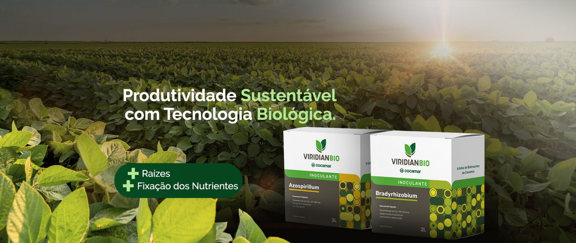 Lancamento Viridian Bio 